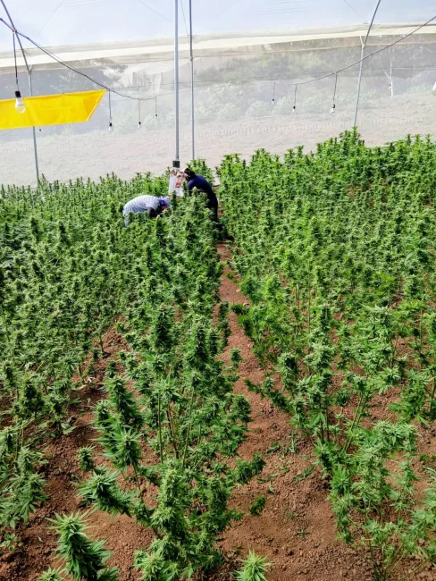 PHOTO-2025-05-21-09-03-113