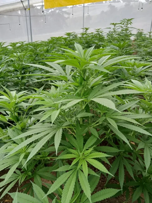 PHOTO-2025-05-21-09-03-124